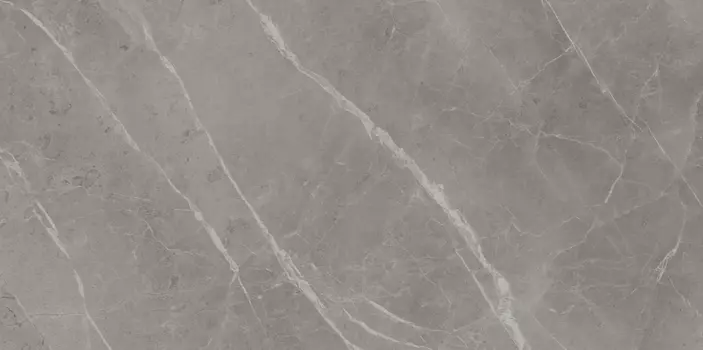 Керамогранит Atlas Concorde Italy Marvel Pro Grey Fleury Lappato 120x60