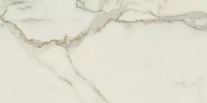 Керамогранит Ava Ceramica Marmo e Pietra Calacatta Oro Lapp Rett 60x120