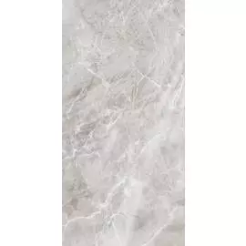 Керамогранит Axima Delhi Серый Ретт. 60х120