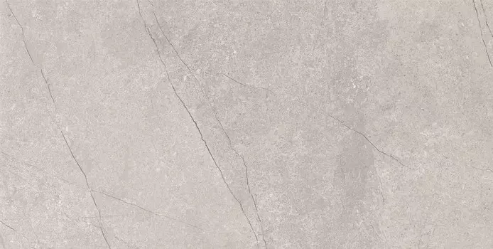 Керамогранит Azario Fossil Grey Matt 60x120