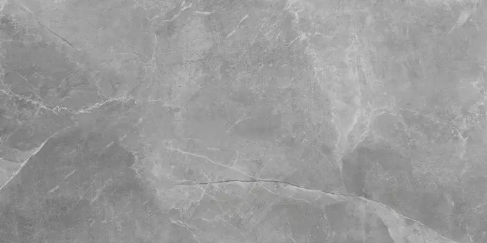 Керамогранит Cerrad Maxie/Stonemood Silver Rect 59,7x59,7