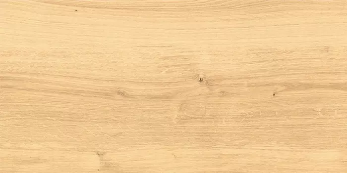 Керамогранит Cersanit Woodhouse бежевый (C-WS4O012D) 29,7х59,8