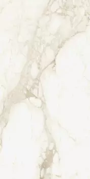 Керамогранит Coliseumgres Michelangelo Ворм Рет 60x120