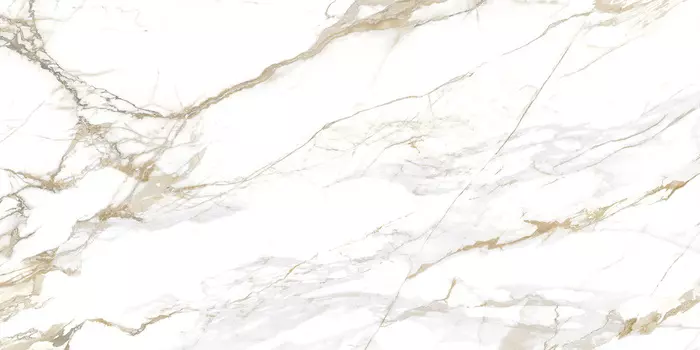 Керамогранит Delacora Carrara Royal 60120GP42CRR55 60x120