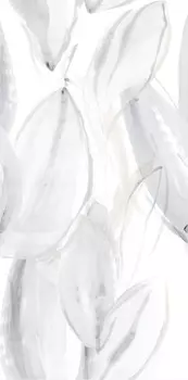 Керамогранит Emigres Florida Pul Blanco RP 59x119