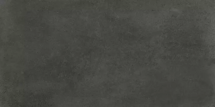 Керамогранит Fanal Evo Coal Mat 60x120