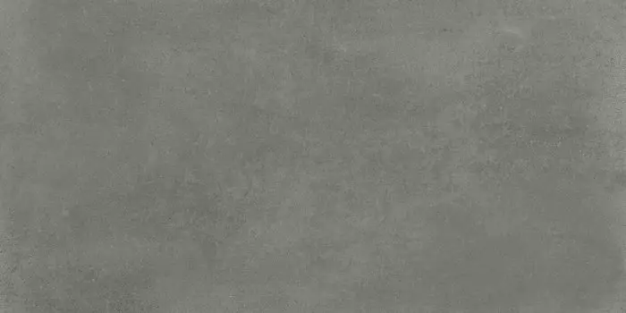 Керамогранит Fanal Evo Grey Mat 60x120