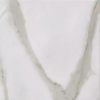 Керамогранит FAP Ceramiche Roma Calacatta 20x20