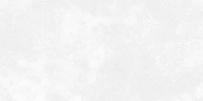 Керамогранит Kerranova Central Park White K-701/MR Matt 30x60х0,9