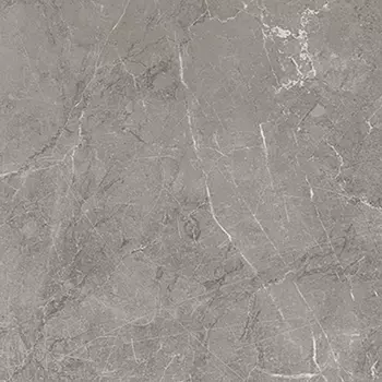 Керамогранит Laparet Escada серый SG169000N 40,2х40,2