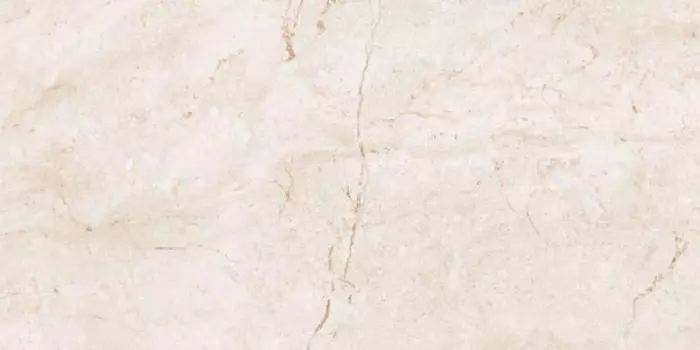Керамогранит Leopard Stone Ivory Polished 6406 60x120