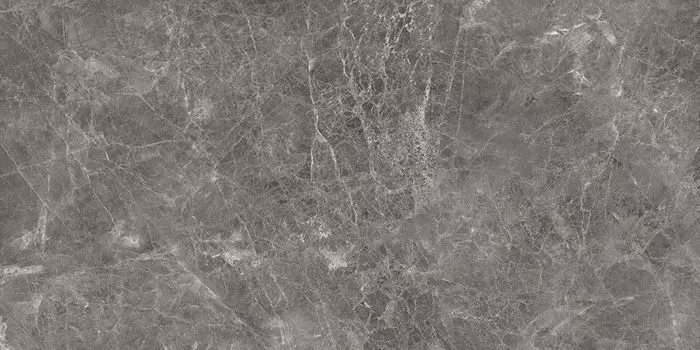 Керамогранит Leopard Umbra Grafite 60x120