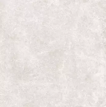 Керамогранит Love Ceramic Marble Light Grey Polished 59.2x59.2