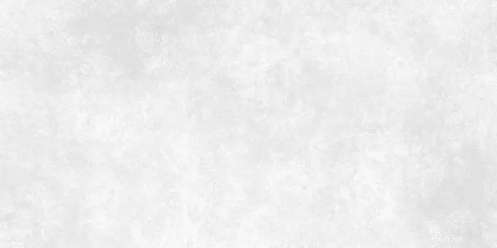 Керамогранит Meissen Ideal Светло-серый Ректификат 44,8х89,8