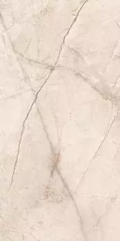 Керамогранит Ocean Ceramic Silver Root Pearl 80x160