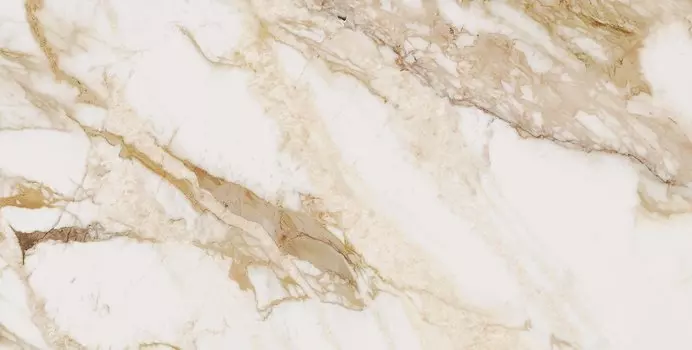 Керамогранит Ocean Ceramic Loyal 60x120