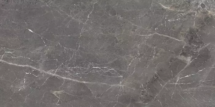 Керамогранит Ocean Ceramic Tulip Grey 60x120