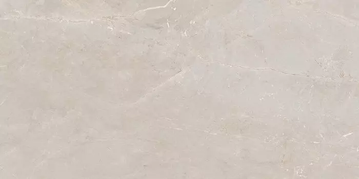 Керамогранит Ocean Ceramic Tulip White 60x120