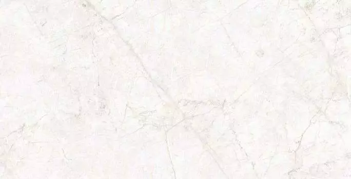 Керамогранит Ocean Ceramica Alabaster Ice 80x160