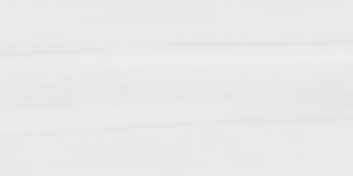 Керамогранит Pamesa Dolomite Bianco 60x120