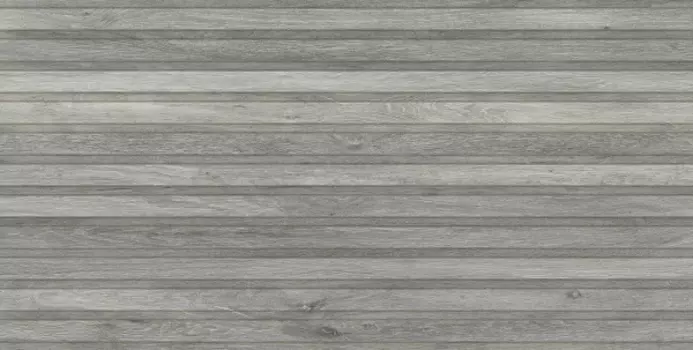 Керамогранит Pamesa Viggo At.Rlv. Ceniza 60x120