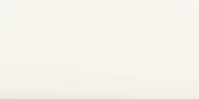 Керамогранит Prissmacer Whites Ice White Mate Rectificado 60x120