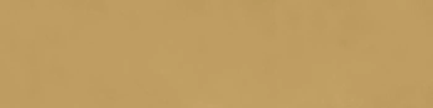 Керамогранит Ragno Decora SenapeRett 60x120