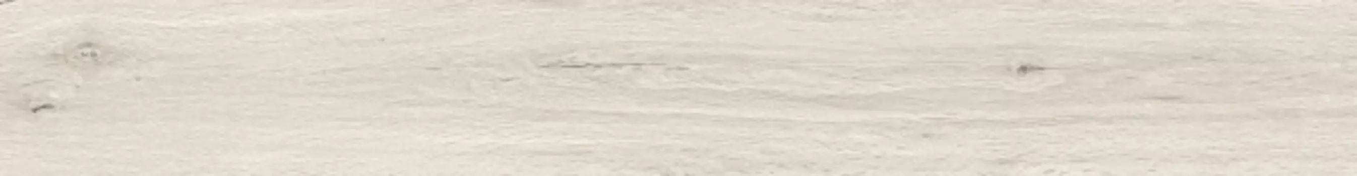 Керамогранит Ragno Woodclassic Blanco 10/13x100
