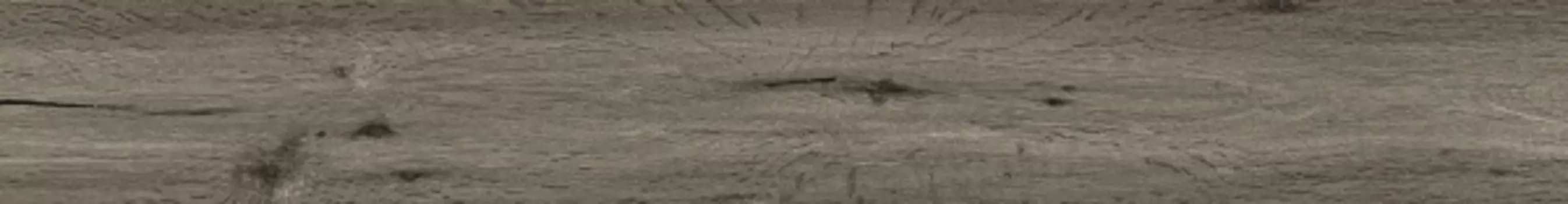 Керамогранит Ragno Woodclassic Tortora 10/13x100