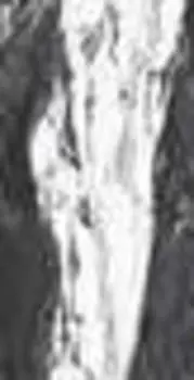 Керамогранит Romario Ceramics Versace Black 75x150