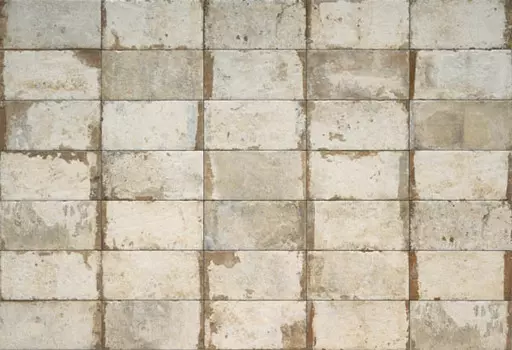 Керамогранит Serenissima Sugar Cane 20x40