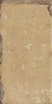 Керамогранит Serenissima Tropicana 20x40