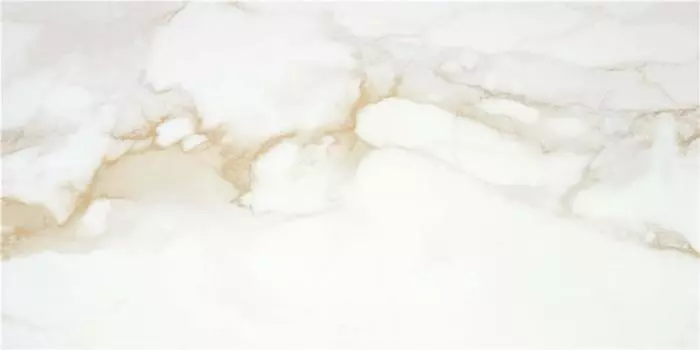 Керамогранит STN Ceramica Camile P.E. PUL. Gold Rect. 60x120