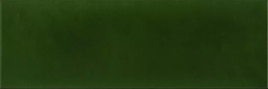 Настенная плитка Absolut Keramika Milano Brillo Botella 10x30