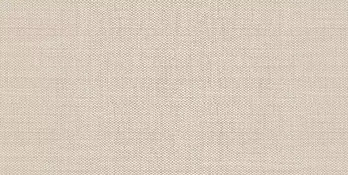 Настенная плитка Alma Ceramica Asteria TWU09ATR044 24,9x50