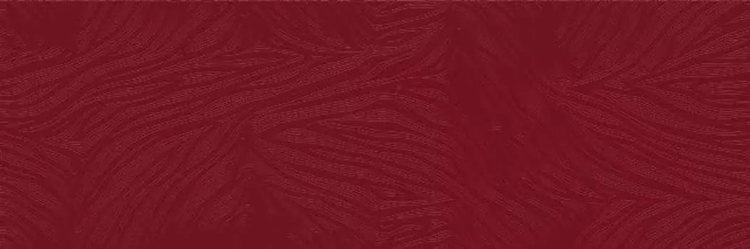 Настенная плитка Alma Ceramica Irma Красный TWU11RMA500 60х20