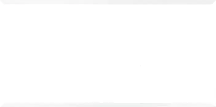 Настенная плитка Alma Ceramica Monocolor TWU09MNR000 24,9x50