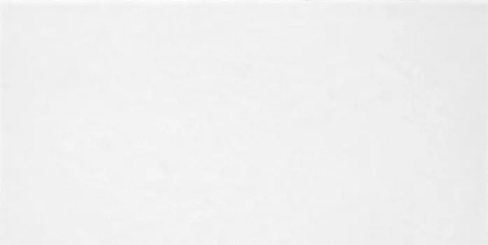 Настенная плитка Alma Ceramica Monocolor TWU09MNR020 24,9x50