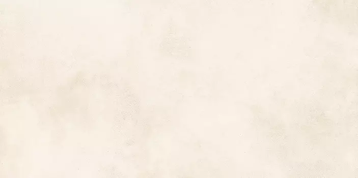 Настенная плитка Alma Ceramica Richard TWU09RCD004 24,9x50