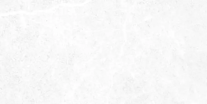 Настенная плитка Alma Ceramica Stone TWU09TON000 24,9x50