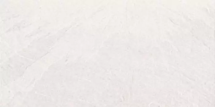 Настенная плитка Argenta Dorset Moon 30x60