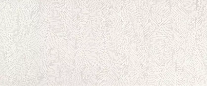 Настенная плитка Atlas Concorde Aplomb White Leaf 50x120