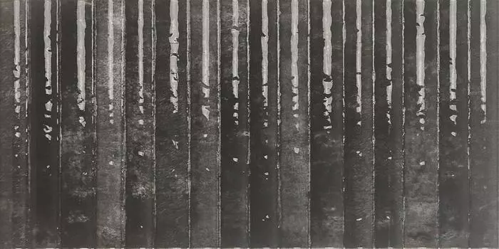 Настенная плитка Mainzu Etna Nero 15x30