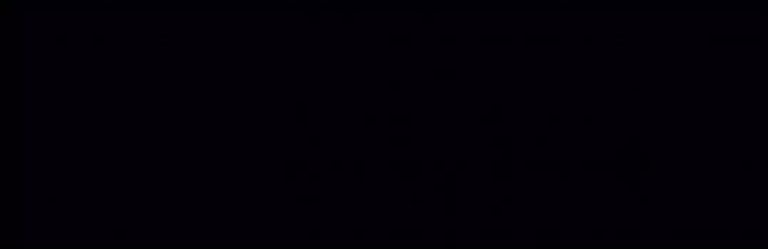 Настенная плитка Meissen Winter Vine Черный 29x89