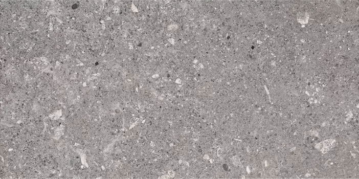 Настенная плитка Paradyz Aragorn Grys 30x60