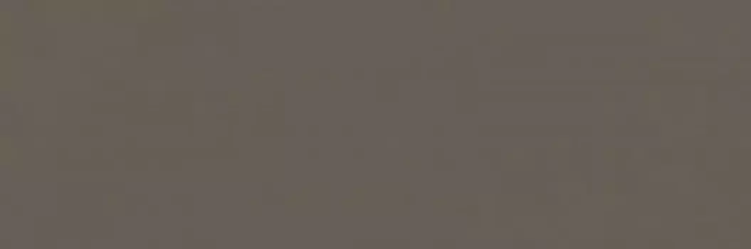 Настенная плитка Ragno Vida Fango Rett 30x90