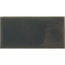 Настенная плитка Wow Fayenza Ebony 6,25x12,5
