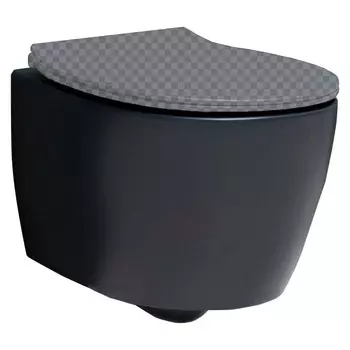 Подвесной унитаз Allen Brau Fantasy 4.11004.31 матовый