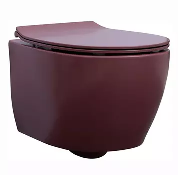 Подвесной унитаз Allen Brau Fantasy 4.11004.BD