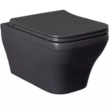 Подвесной унитаз Allen Brau Infinity 4.21011.AN антрацит